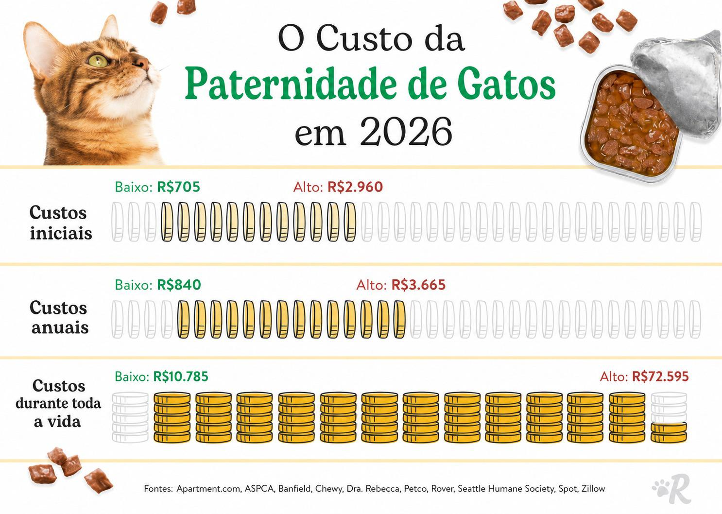 Infográfico quanto custa ter um gato em 2026: custos iniciais, anuais e durante toda a vida
